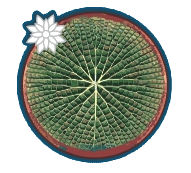 FUNASA